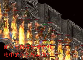 ��θ�Ч����������Ϸ�еĽ�ɫս������