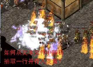 ��δ��ı��ļ��������ȡһ�в����������