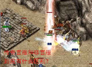 ����ٷ��ͷǹٷ�������ʲô����