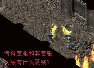 ����ٷ��ͷǹٷ�������ʲô����