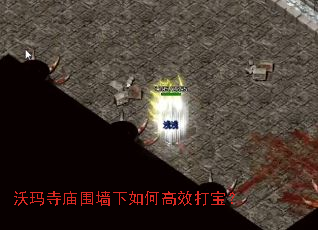 ��������Χǽ����θ�Ч�򱦣�