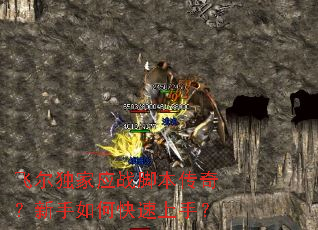 �ɶ�����Ӧս�ű����棿������ο������֣�