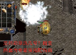 ��ʦѫ��ѡ���ţ�������Ѫ������ǿ����ָ��