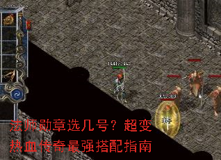 ��ʦѫ��ѡ���ţ�������Ѫ������ǿ����ָ��