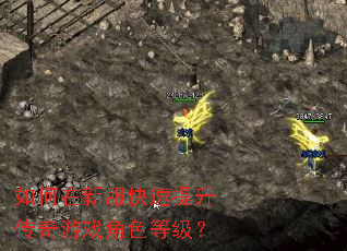 ������·���������������Ϸ��ɫ�ȼ���