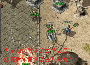 ��ʥ����΢��ڶ�����©���޸�����ο�������ս����