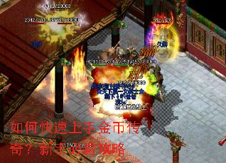 ��ο������ֽ�Ҵ��棿���ֱؿ�����