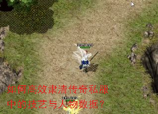 如何高效肃清传奇私服中的技艺与人物数据? 如何高效肃清传奇私服中的技艺与人物数据?