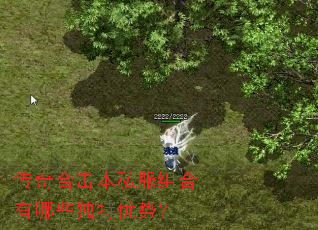 ����ϻ���˽���������Щ�������ƣ�