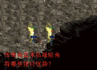 ����ϻ���˽���������Щ�������ƣ�