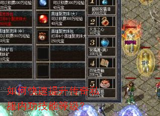 ��ο�����������˽���ڹ����ܵȼ���