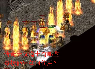 �������ǵ�ʿ����Щ�����ܣ����ʹ�ã�