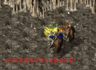 ��λ�ȡ��ʴ����еľ�Ʒʱװ��