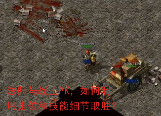 ��ʦ��սʿPK�����������λ�ͼ���ϸ��ȡʤ��