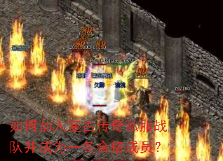 ��μ��븴�Ŵ���˽��ս�Ӳ���Ϊһ���ϸ��Ա��