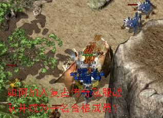 ��μ��븴�Ŵ���˽��ս�Ӳ���Ϊһ���ϸ��Ա��