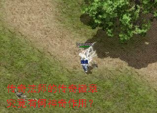 ���淨ʦ�Ĵ�����¾����к��������ã�