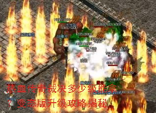 ��Ѫ����þ����ټ����ã���̬���������Խ���