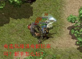 �ϻ�˽���ʺ��������������ô�棿