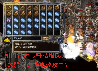 �����Դ���˽��boss��������и�Ч������