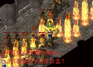 �����Դ���˽��boss��������и�Ч������