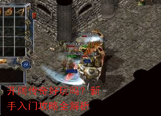 ��������������������Ź���ȫ����