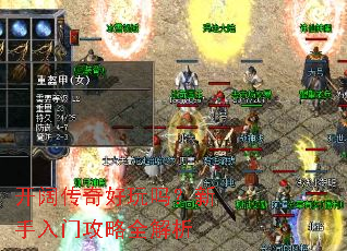 ��������������������Ź���ȫ����