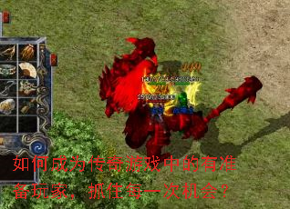 ��γ�Ϊ������Ϸ�е���׼����ң�ץסÿһ�λ��᣿