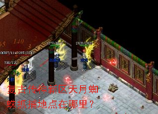 ���Ŵ�����������֩��ץ���ص������