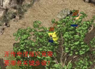 开传奇搜服究竟需要哪些关键步骤? 开传奇搜服究竟需要哪些关键步骤?