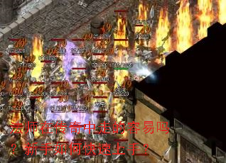 ��ʦ�ڴ������ߵ�������������ο������֣�