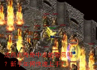 ��ʦ�ڴ������ߵ�������������ο������֣�