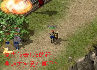 ���Ŵ���176�ľ����������������