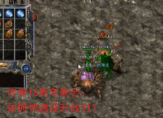 ����16�������᣺��ο�������ս����