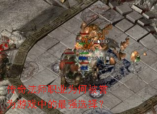 ���淨ʦְҵΪ�α���Ϊ��Ϸ�е���ǿѡ��