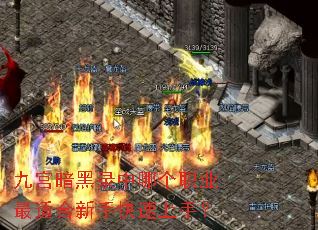 �Ź�����¼���ĸ�ְҵ���ʺ����ֿ������֣�