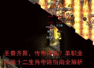 圣兽齐聚,传奇降临?单职业私服十二生肖带路指南全解析 圣兽齐聚,传奇降临?单职业私服十二生肖带路指南全解析