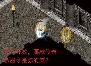 �ٻ���ţ��Ŀ��˽��������Ĳˣ�