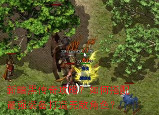 新暗黑传奇攻略?如何搭配最强装备打造无敌角色? 新暗黑传奇攻略?如何搭配最强装备打造无敌角色?