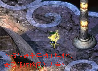 ������ǧ��ٵ�ְҵ����˽�������ʴ��ȫ��