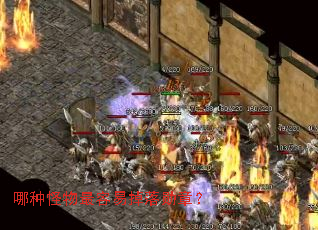 ���ֹ��������׵���ѫ�£�