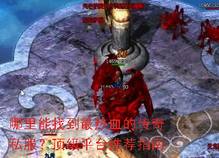 �������ҵ�����Ѫ�Ĵ���˽��������ƽ̨�Ƽ�ָ��