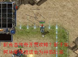 �ºϻ����濪�Ĺ��ԣ�������δ�����ٳɳ�Ϊ�������