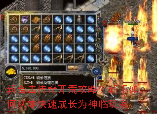 �ºϻ����濪�Ĺ��ԣ�������δ�����ٳɳ�Ϊ�������