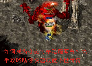 ��γ�Ϊ��̬����˽�����𣿸��ֹ���������ٳɾͲ�������