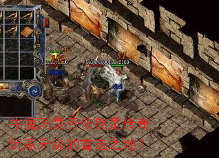 ţħ���Ƿ���Ȼ�Ǵ��������������ѡ֮�أ�