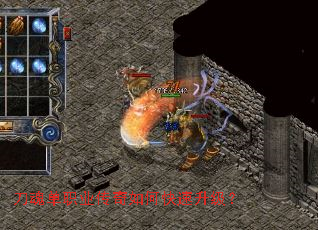 ���굥ְҵ������ο���������