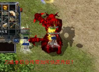 ���굥ְҵ������ο���������