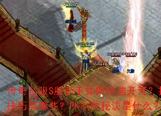 ����˽��S��������ο��ٿ��ģ��򱦼�������Щ��PK��ʤ�ؾ���ʲô��