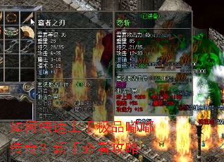 ��ο������ּ�Ʒ�ུ��棿���ֱؿ�����